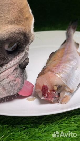 Мясо для собак