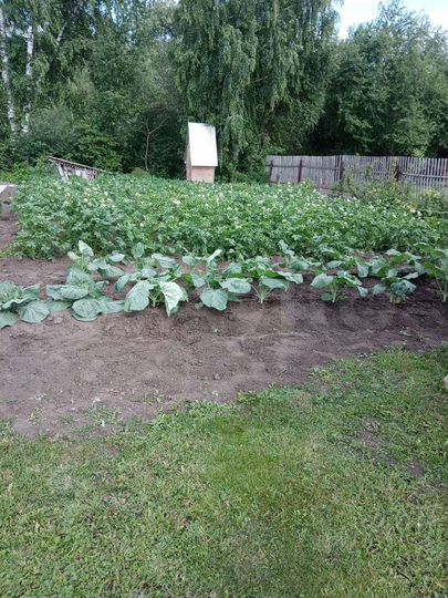 Дом 20 м² на участке 7 сот.