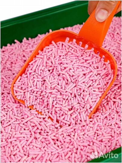 Кошачий туалет 19,7 кг Авито доставка