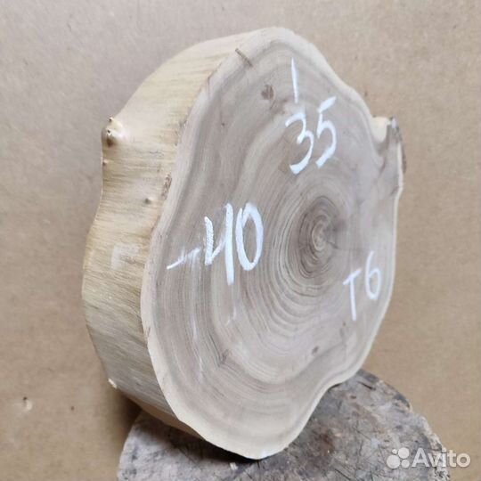 Слэб карагача