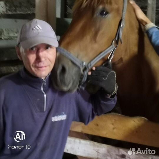 Разнорабочий, грузчик