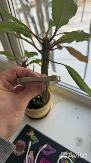 iPhone 12 Pro, 256 ГБ