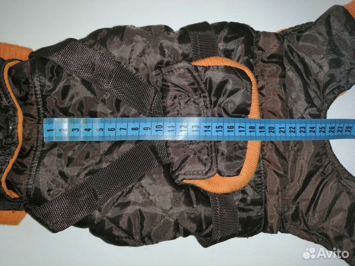 Одежда для маленьких собак