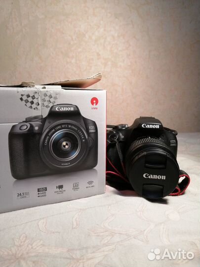 Canon EOS 2000D зеркальный фотоаппарат