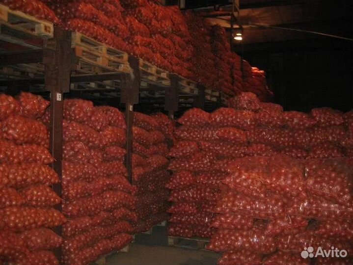 Ищу инвестора. доход до 84 годовых