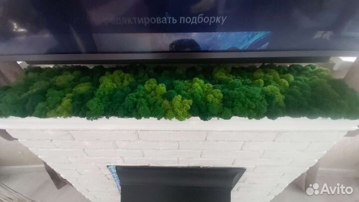 Стабилизированный мох панно