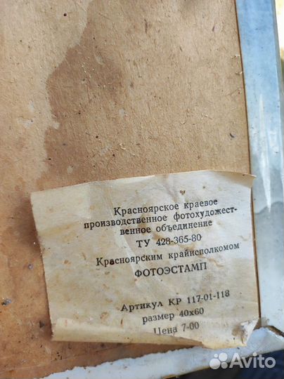 Высоцкий фото портрет