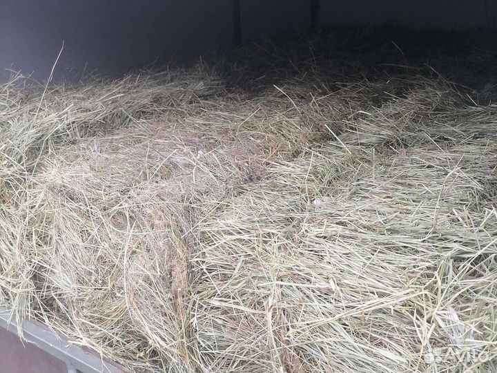 Сено в тюках