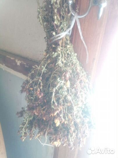 Душица зверобой, корень солодки