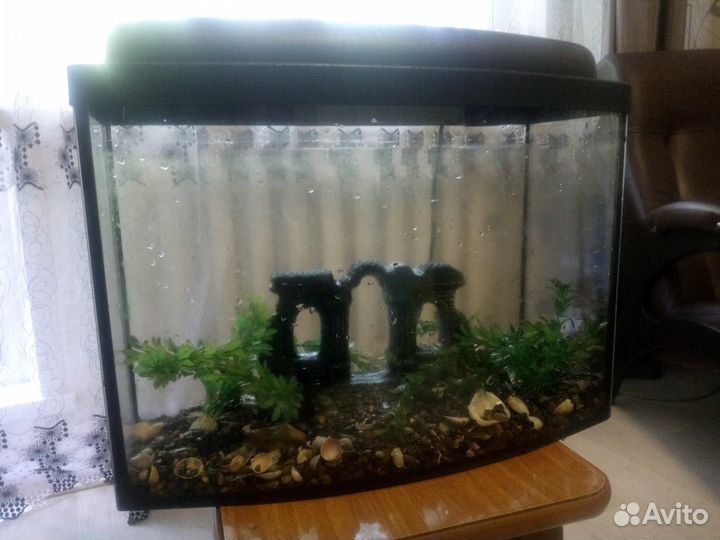 Аквариум