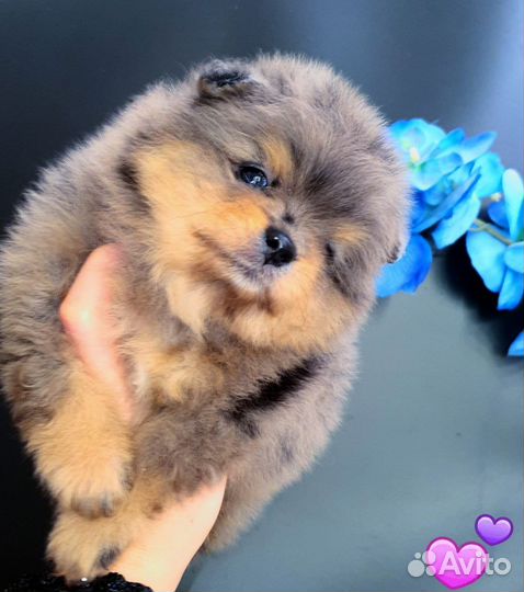 Минюшечка кукольная девочка эксклюзив,доставка