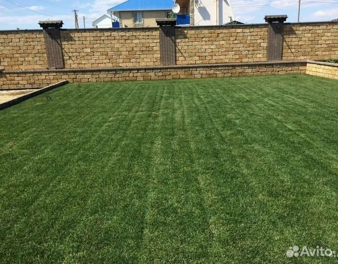 Рулонный газон. Производитель