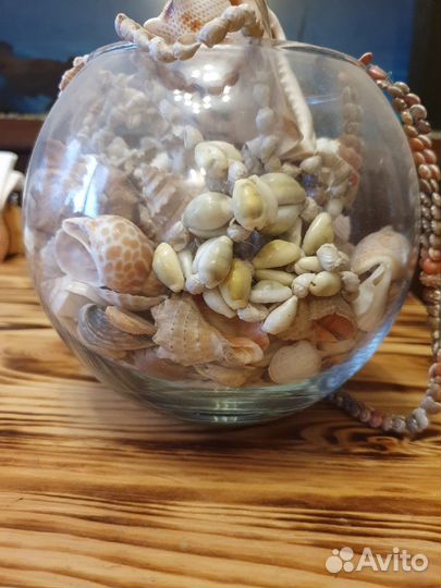 Интерьерная ваза с морскими раковинами