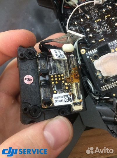 Ремонт квадракоптеров DJI Mavic Pro, Platinum, zoo