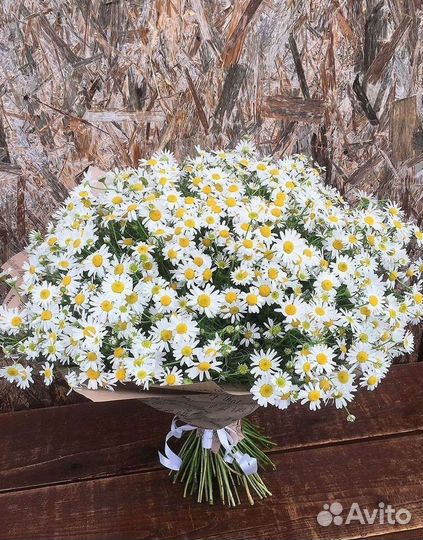 Ромашки букет