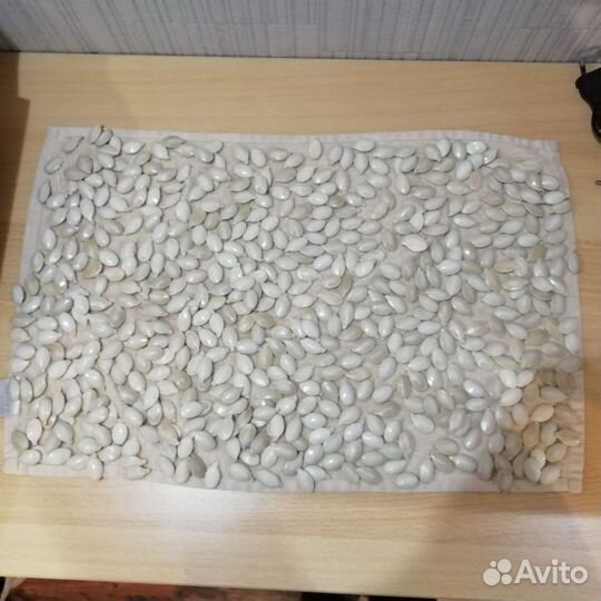 Семена тыквы Атлант