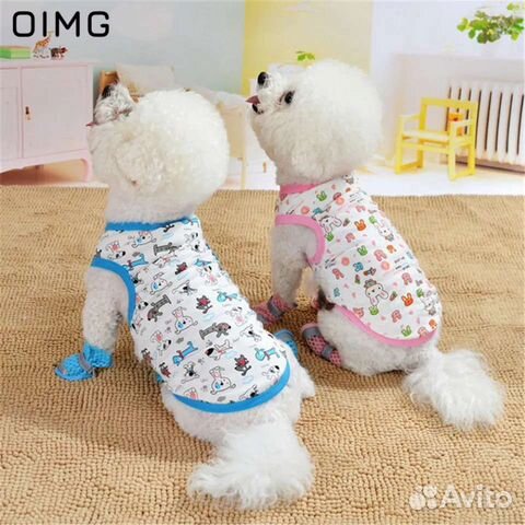 Одежда для собак
