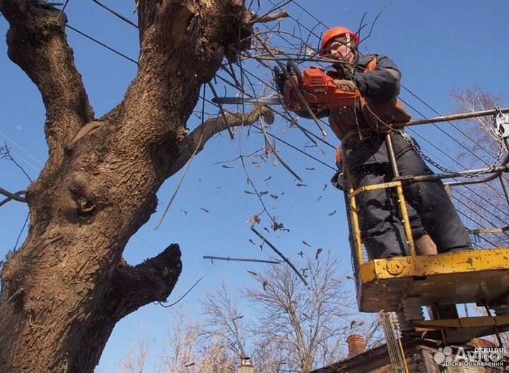 Cпилить дерево