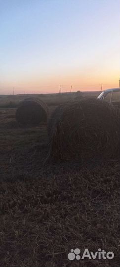 Сено в тюках