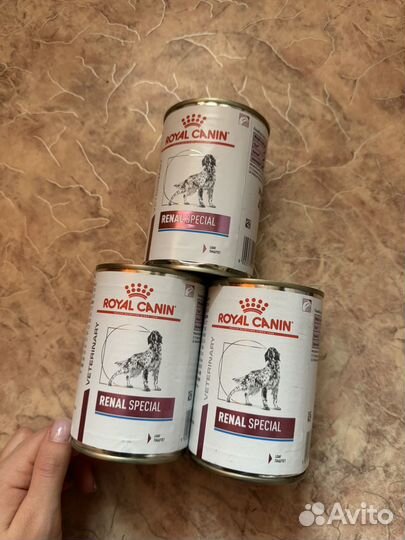 Влажный корм royal canin renal spezial