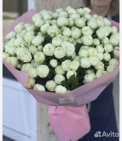 31 Роза пионовидная