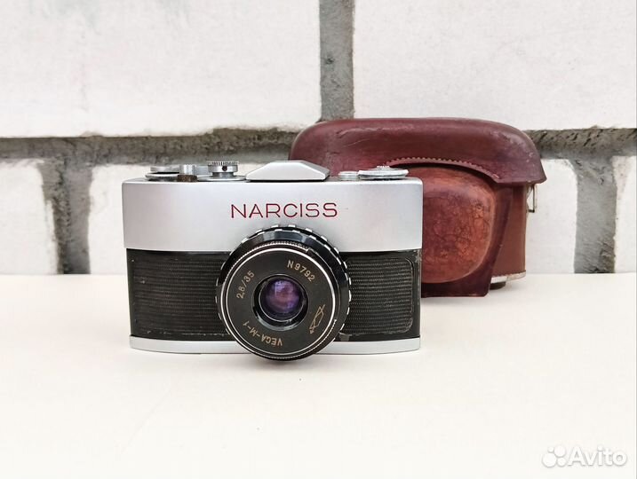 Нарцисс, экспорт