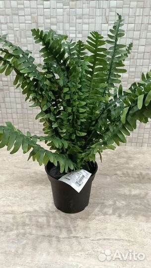 Фейка Икеа папоротник искусственный