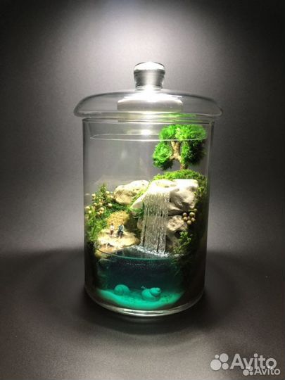 Флорариум - ночник