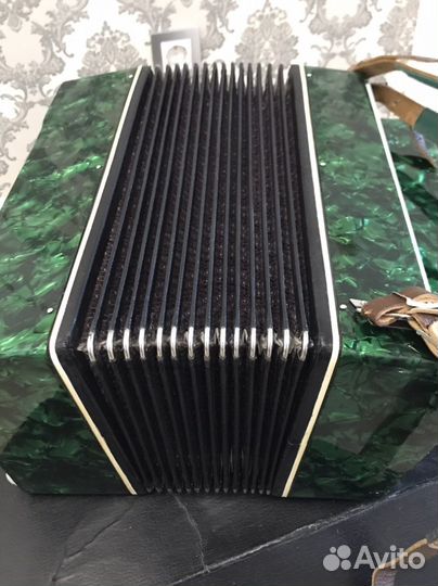 Баян Молодечно 2