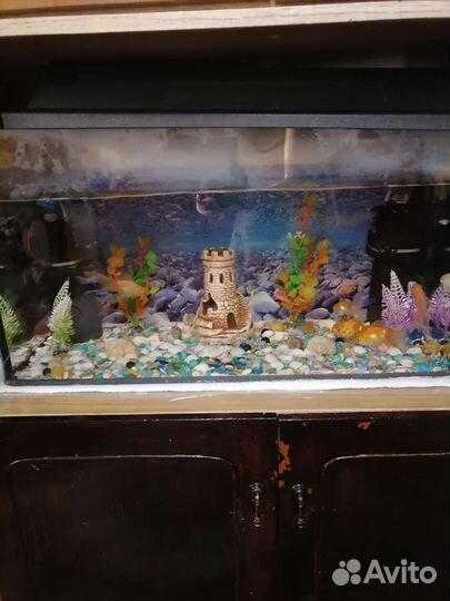 Аквариум с рыбками и всем что там есть, 70 литров