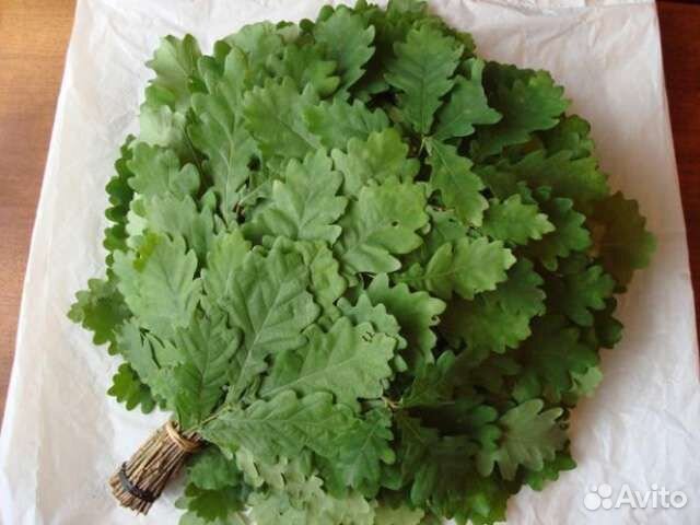 Веники дубовые