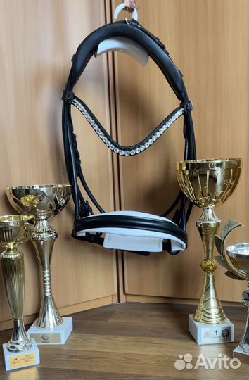 Мундштучное оголовье