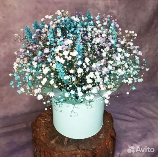 Гипсофилы с открыткой