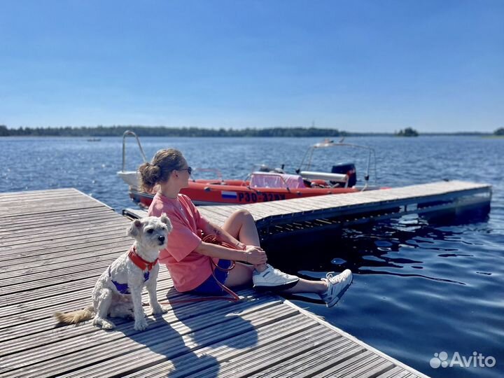 Передержка и ситтинг собак