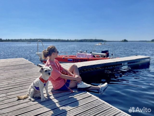 Передержка и ситтинг собак