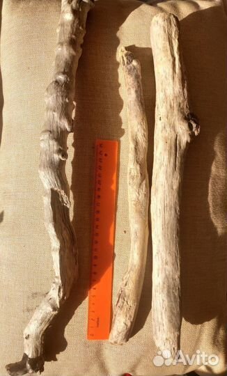 Дрифтвуд: набор для декора и творчества