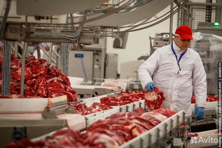 Рабочие на мясокомбинат Воронежская обл