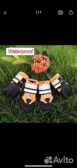 Обувь для собак