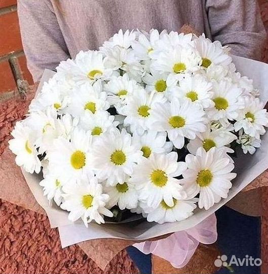 Хризантема Букеты доставка цветов