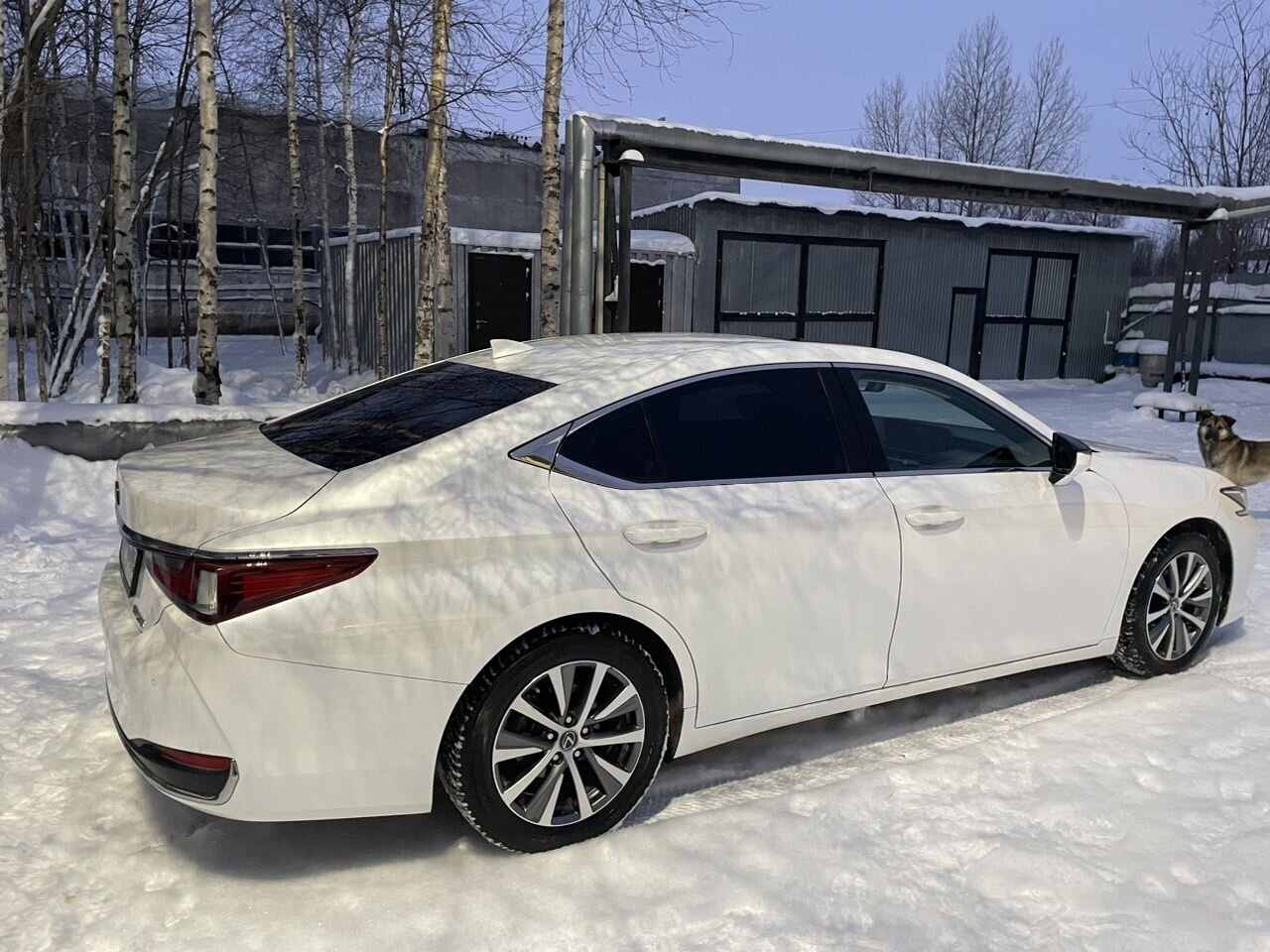 Lexus ES: фото владельца