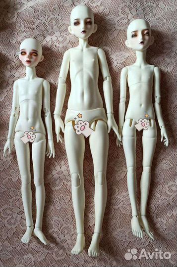 Куклы 1/6 bjd