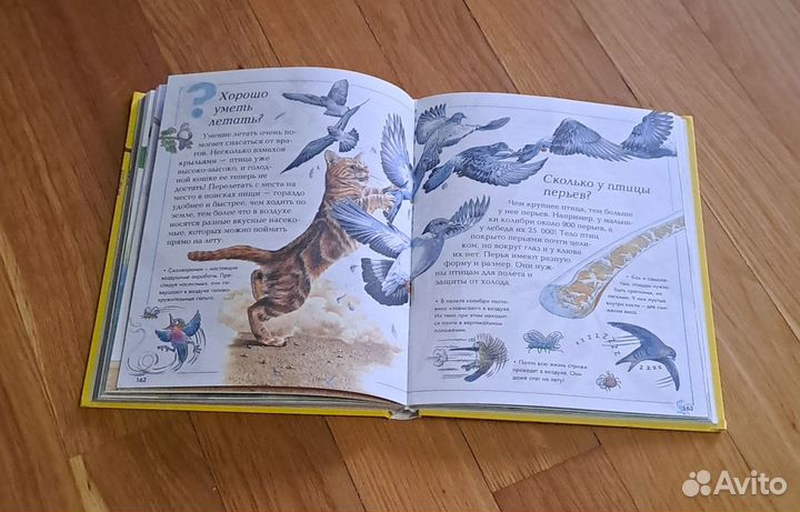 Детская б/у Книга :Где, что когда