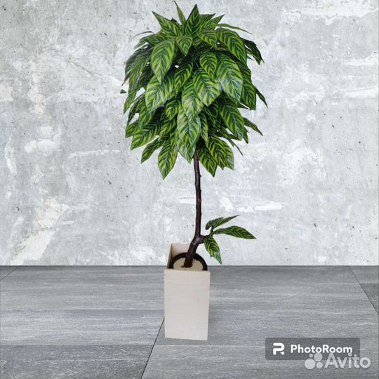 Искусственное дерево манго