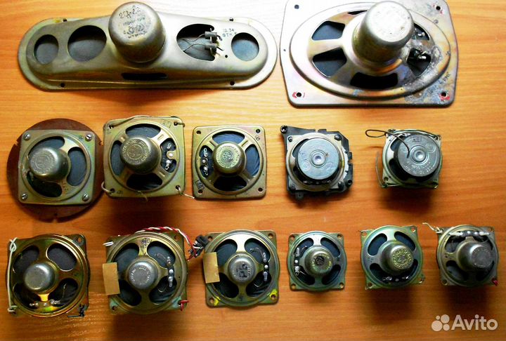 Динамики Россия