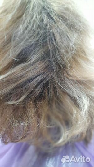 Парикмахер универсал