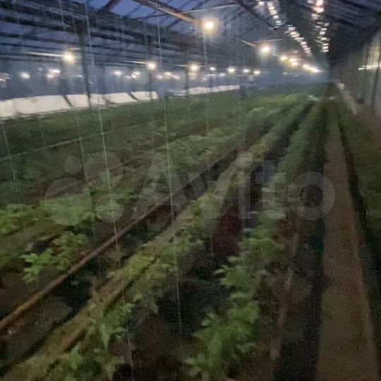 Участок 50 сот. (СНТ, ДНП)