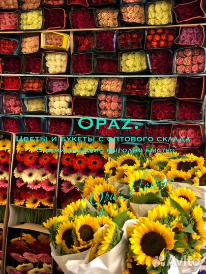 Цветы оптом розы