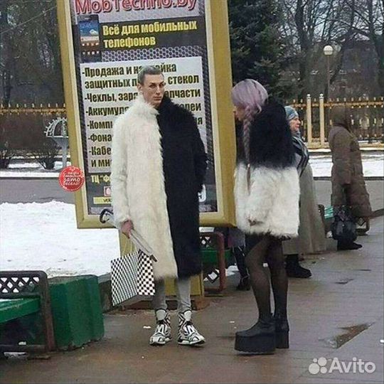 Компаньон/друг/соучастник для прогулок