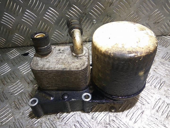 Радиатор маслянный (Теплообменник) форд Connect