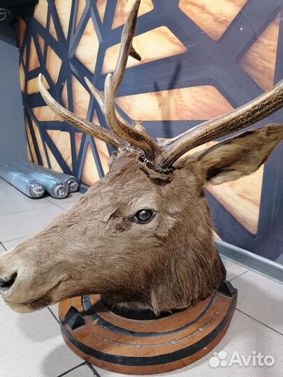 Декор для дома и кафе